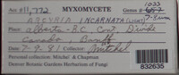 Image Associated With the Occurence